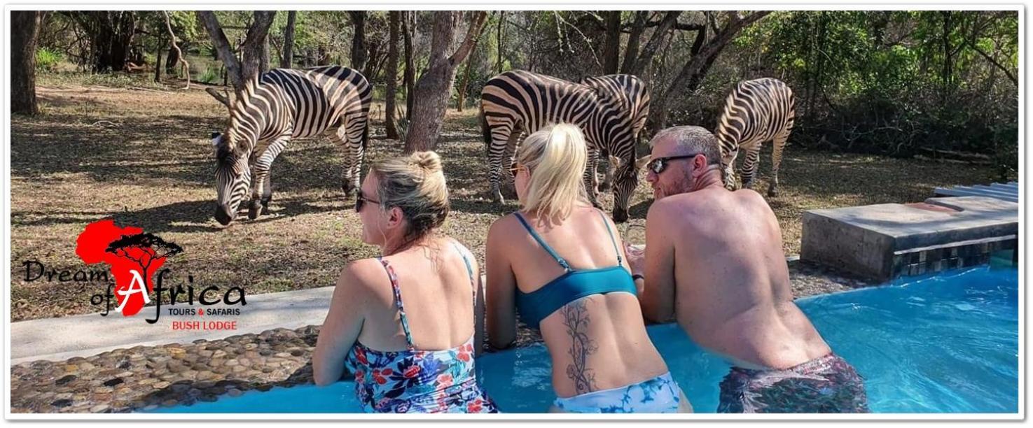 Dream Of Africa Bush Lodge Marloth Park Eksteriør billede