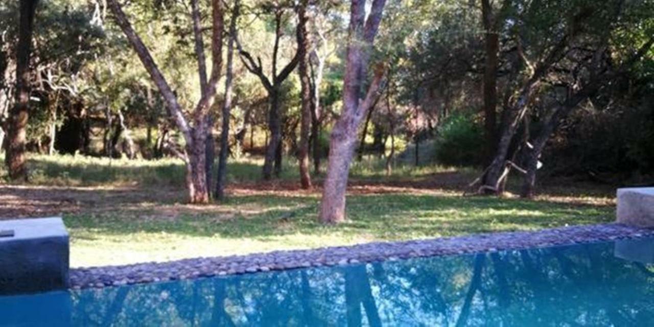 Dream Of Africa Bush Lodge Marloth Park Eksteriør billede